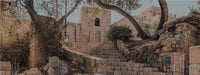 New Israel 1